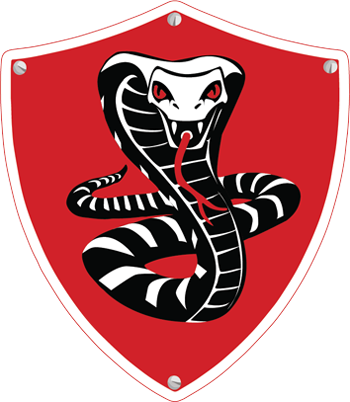TKN Security Services Logo